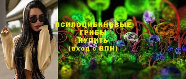 ECSTASY Заводоуковск