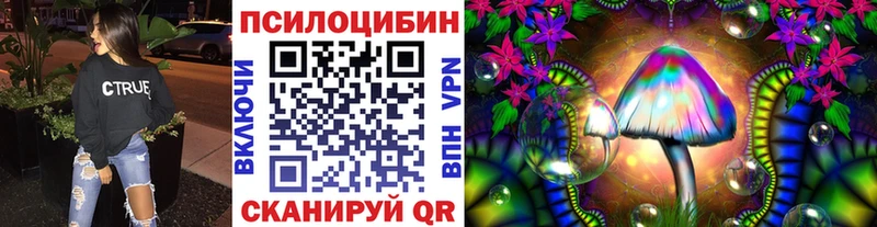 дарк нет клад  Владимир  Псилоцибиновые грибы мицелий 