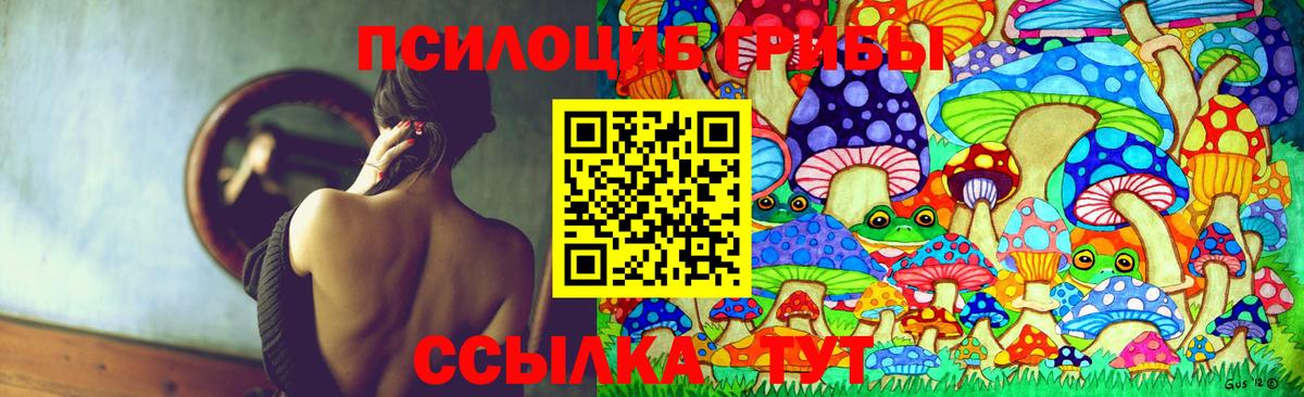 Галлюциногенные грибы Magic Shrooms Владимир