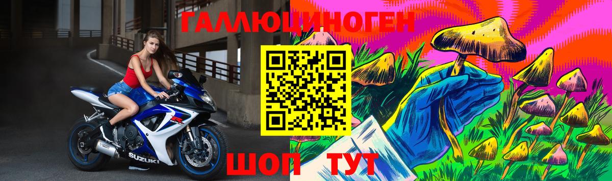 Галлюциногенные грибы Cubensis Владимир